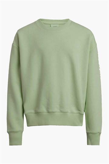 Grunt Sweatshirt - Our Lone - Light Green